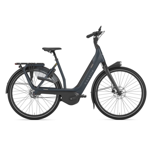 artPic_public_L_3665570.jpg Gazelle Avignon C5 Dames 2024