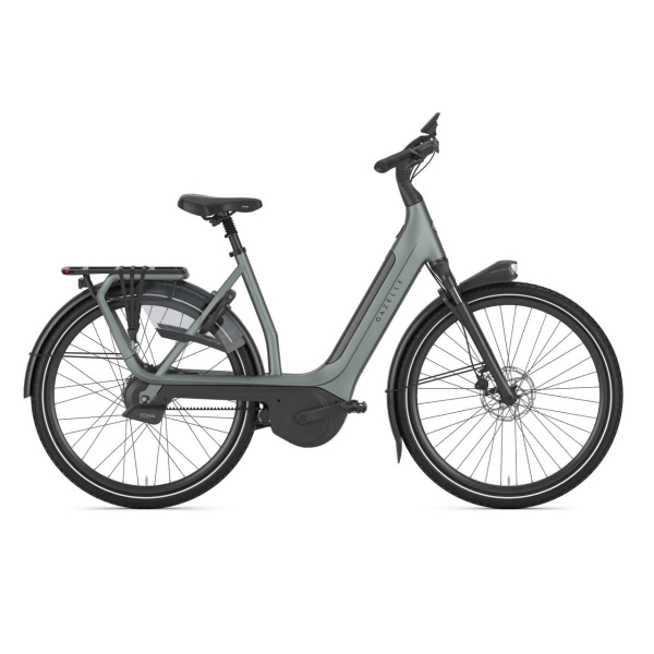 artPic_public_L_4152366.jpg Gazelle Avignon C380+ Dames 2026