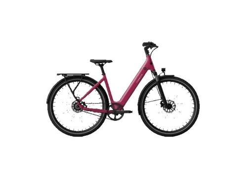 artPic_public_L_4581238.jpg Tenways CGO800S Dames 2026