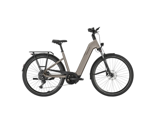 artPic_public_L_4587116.jpg Pegasus Premio EVO 10 lite 600wh Dames 2025