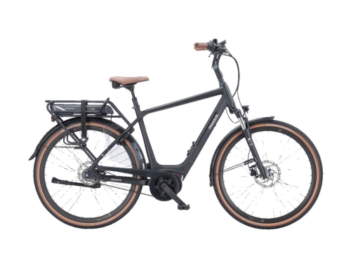 artPic_public_L_4587154.jpg Pegasus Siena E7F Belt NL 400wh Heren 2025