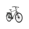 Gazelle Chamonix C8 HEREN 2024
