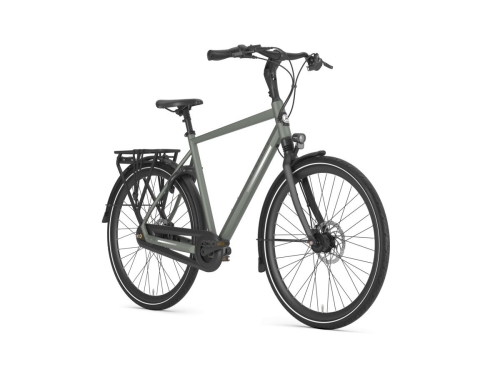 Gazelle Chamonix C8 HEREN 2024