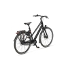 artPic_public_L_3846038.jpg Batavus Senz Exclusive 2026
