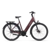artPic_public_L_4549225.jpg Batavus Finez PT Exclusive Dames 2026