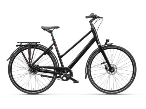 artPic_public_L_4568567.jpg Batavus Senz Exclusive 2025