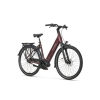 artPic_public_L_4757421.jpg Batavus Finez PT Exclusive Dames 2026